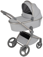 Детская коляска Anex Flo 2 в 1 Frossy
