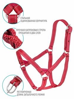 Недоуздок, двойной капрон 25 мм светоотражающий, размер Full