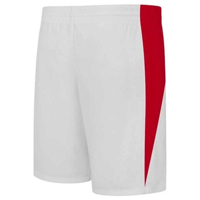 Баскетбольные шорты Nike Team Basketball Stock Short 20 White