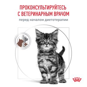 Корм сухой Royal Canin GASTROINTESTINAL KITTEN для котят в возрасте от 2 до 10 месяцев при нарушениях пищеварения
