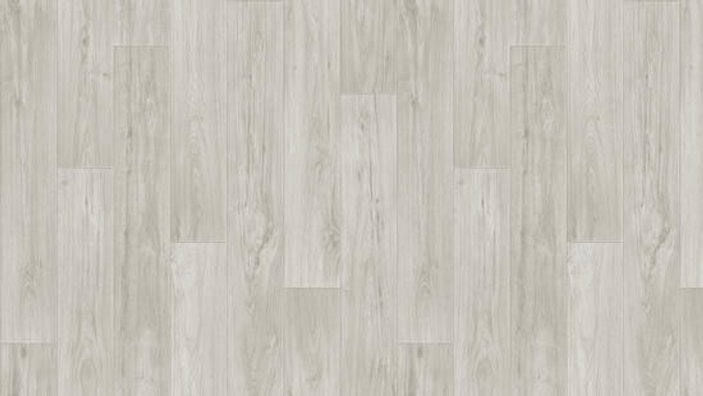 Бытовой линолеум Tarkett Comfort - KADET 1 (М) - Магазин напольных покрытий в Екатеринбурге. MAXI ПОЛ