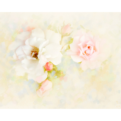 Панель потолочная ПВХ Novita 3D Акварель роза