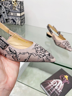 Балетки Christian Dior