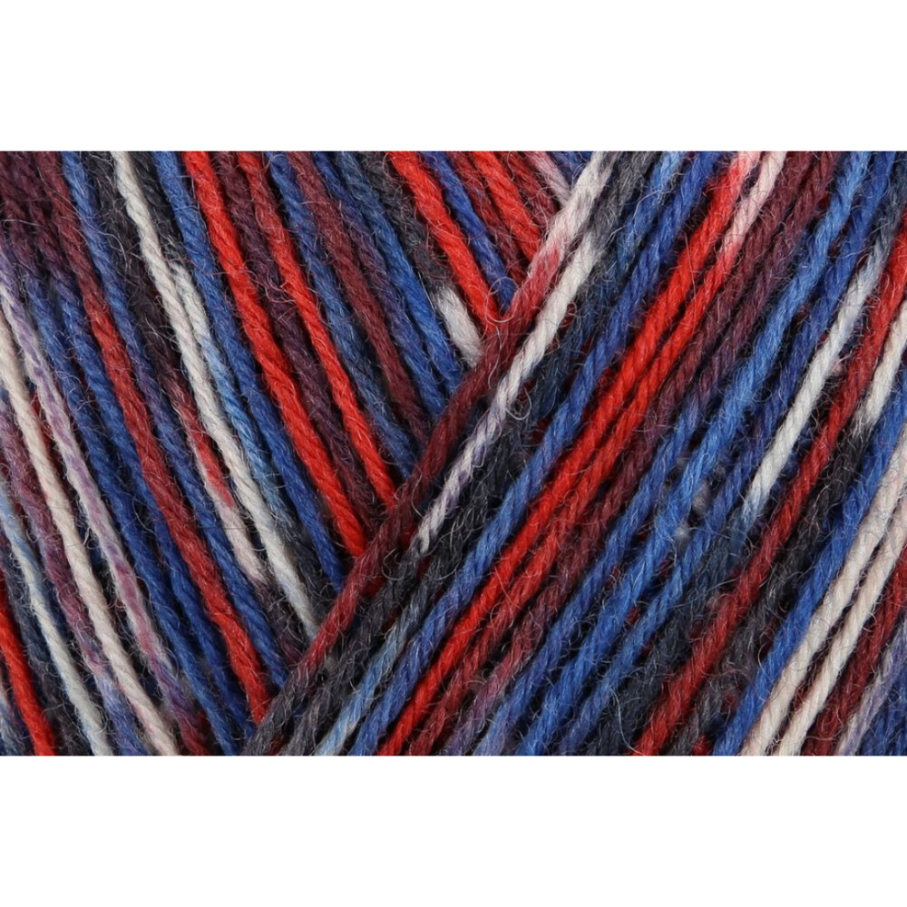 Regia Design Line 4 ply - 03890 (hasvik color)