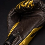 Боксёрские перчатки Venum Reverso Boxing chocolate/gold