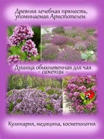 Душица Обыкновенная трава для чая лечебная Орегано