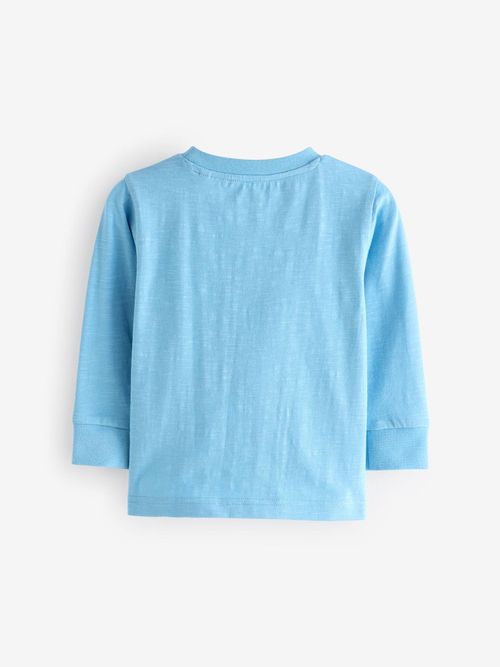 Лонгслив для мальчика Next 631-696, Голубой