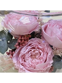 Натуральные пионы в стекле, вакуум