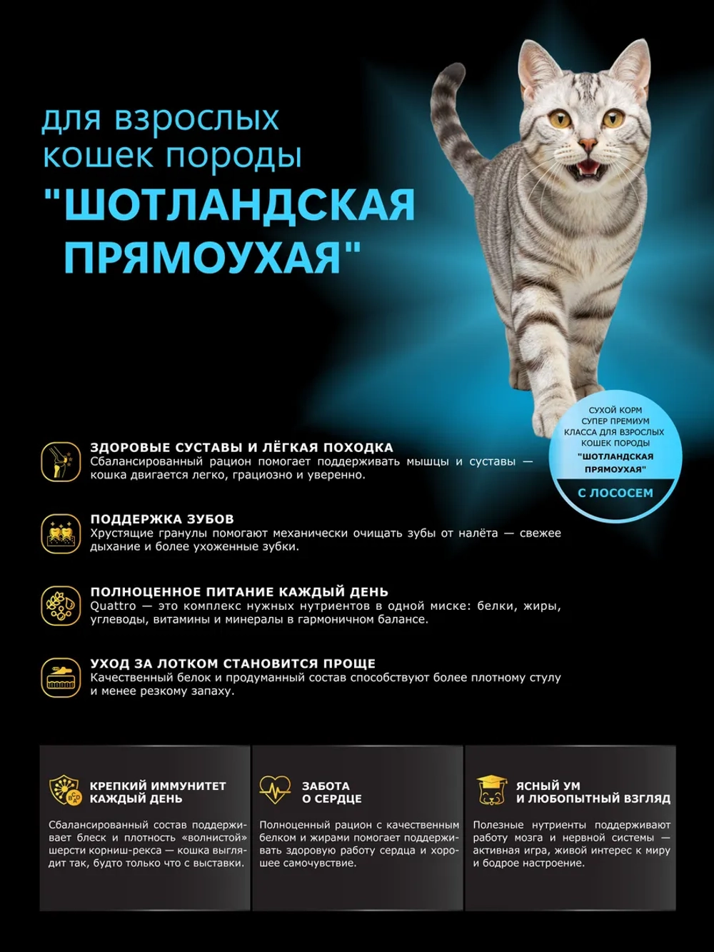 Корм для кошек породы Скоттиш-страйт, с лососем, 400 гр