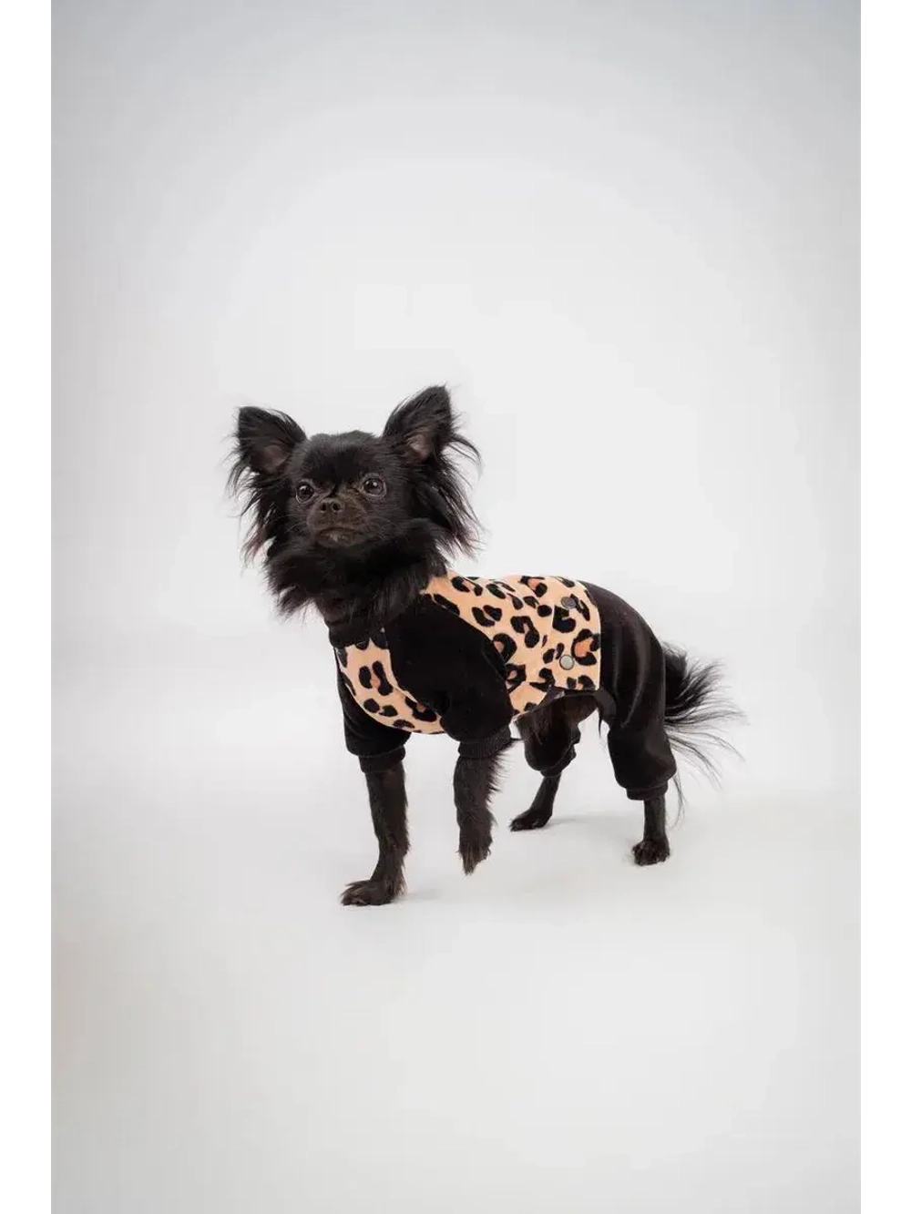 Комбинезон костюм для собак и кошек