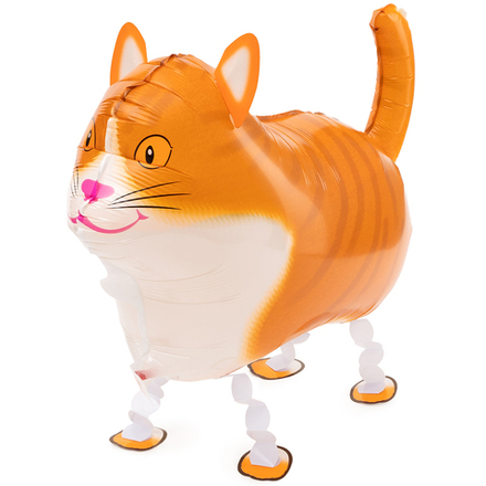 ХОДЯЧАЯ ФИГУРА, КОТ