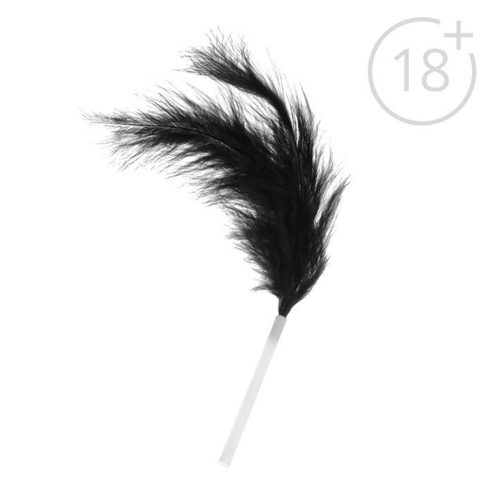 Набор для двоих «Интим»: анальная пробка и пуховка (Цвет: черный)