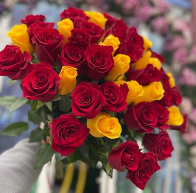 Armonia di Amore e Amicizia