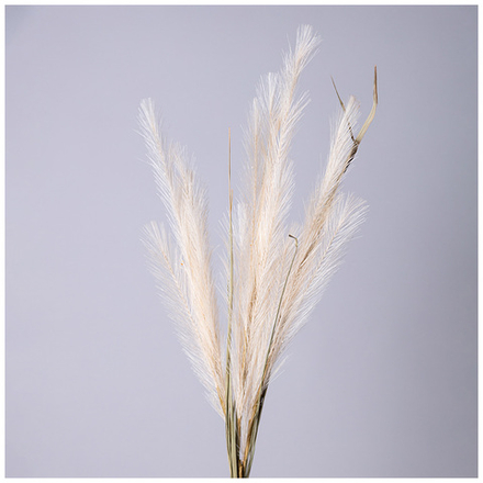 ЦВЕТОК ИСКУССТВЕННЫЙ ПОМПАСНАЯ ТРАВА, ЦВЕТ КРЕМОВЫЙ