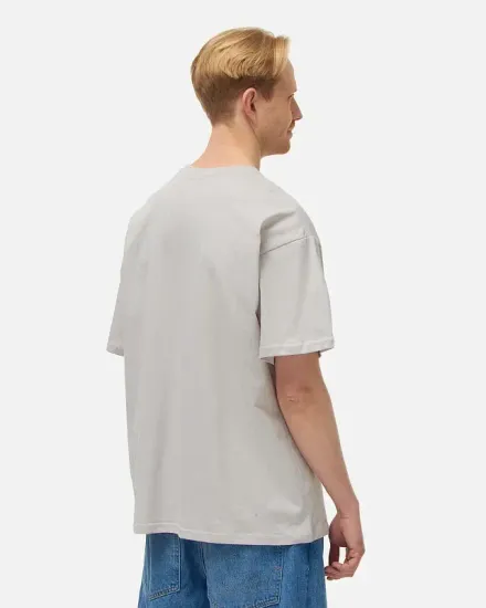 Футболка Anteater 397 серый