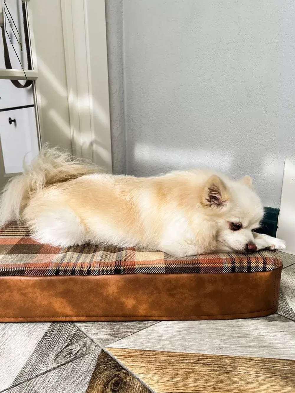 Лежак для собак ортопедический 70*50см