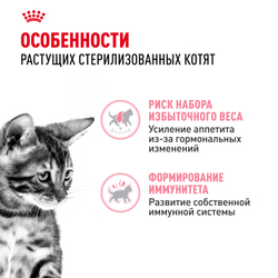 Корм консервированный ROYAL CANIN полнорационный для кастрированных и стерилизованных котят KITTEN STERILISED (КИТТЕН СТЕРИЛАЙЗД), мелкие кусочки в соусе - 85 гр