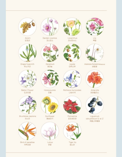 Fine Flower Botanical Art. Coloring book