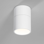 Накладной светодиодный светильник Elektrostandard Rolly 9W 4000K 25112/LED белый