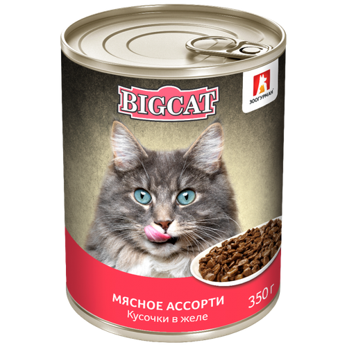 Зоогурман корм консервированный для кошек big cat
