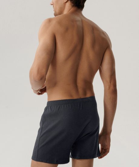 Трусы (2 шт) мужские семейные Atlantic 2BMB-003, графитовые