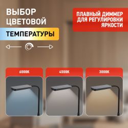 Настольный светильник ЭРА NLED-499-10W-BK светодиодный черный