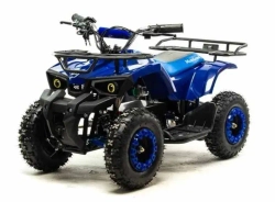 Электроквадроцикл Motoland ATV E009 1000W