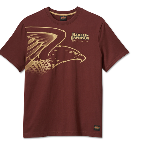 Футболка Rum Raisin Harley-Davidson 120th Anniversary