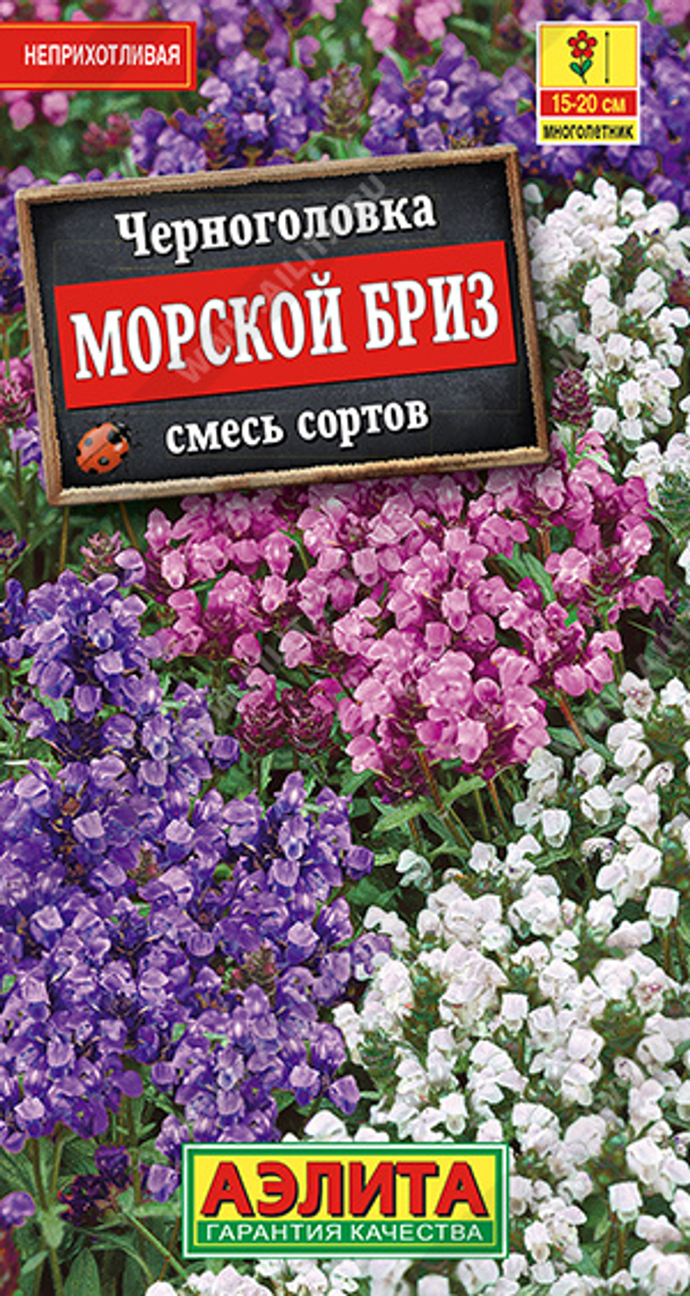 Черноголовка Морской бриз, смесь окрасок