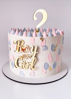 Boy or Girl + знак вопроса ( набор)
