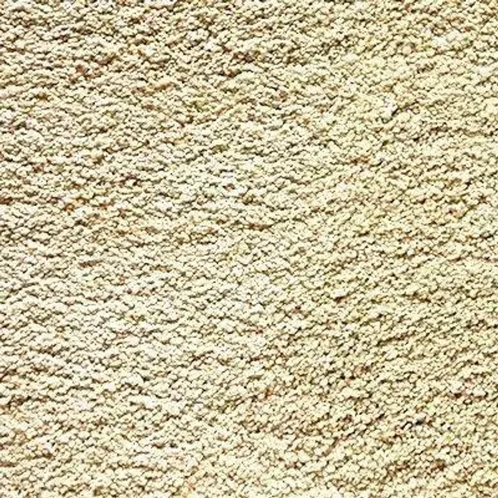Ковровое покрытие Shaw Floors Cashmere IV 105