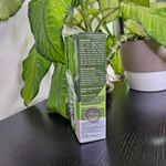 Чай Матча Латте COZY растворимый с жасмином 10 стиков по 17 гр