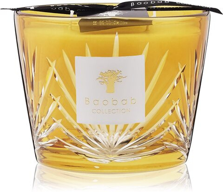 Baobab Collection Palm Palma - ароматическая свеча /  10 cm   / GTIN 5415198486737