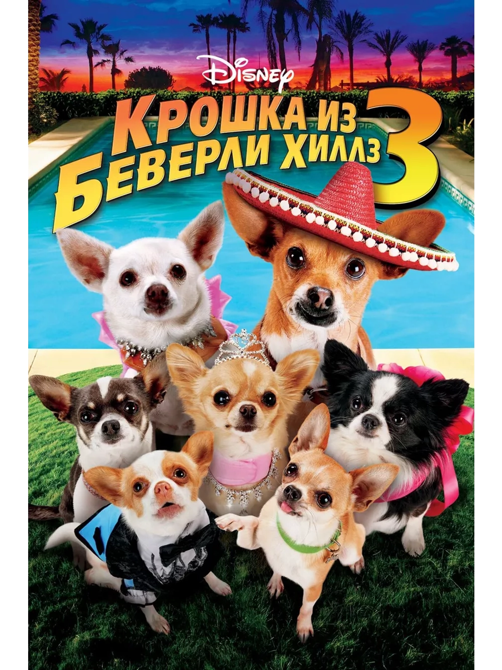 Крошка из Беверли-Хиллз 3 (2012) (DVD-R)