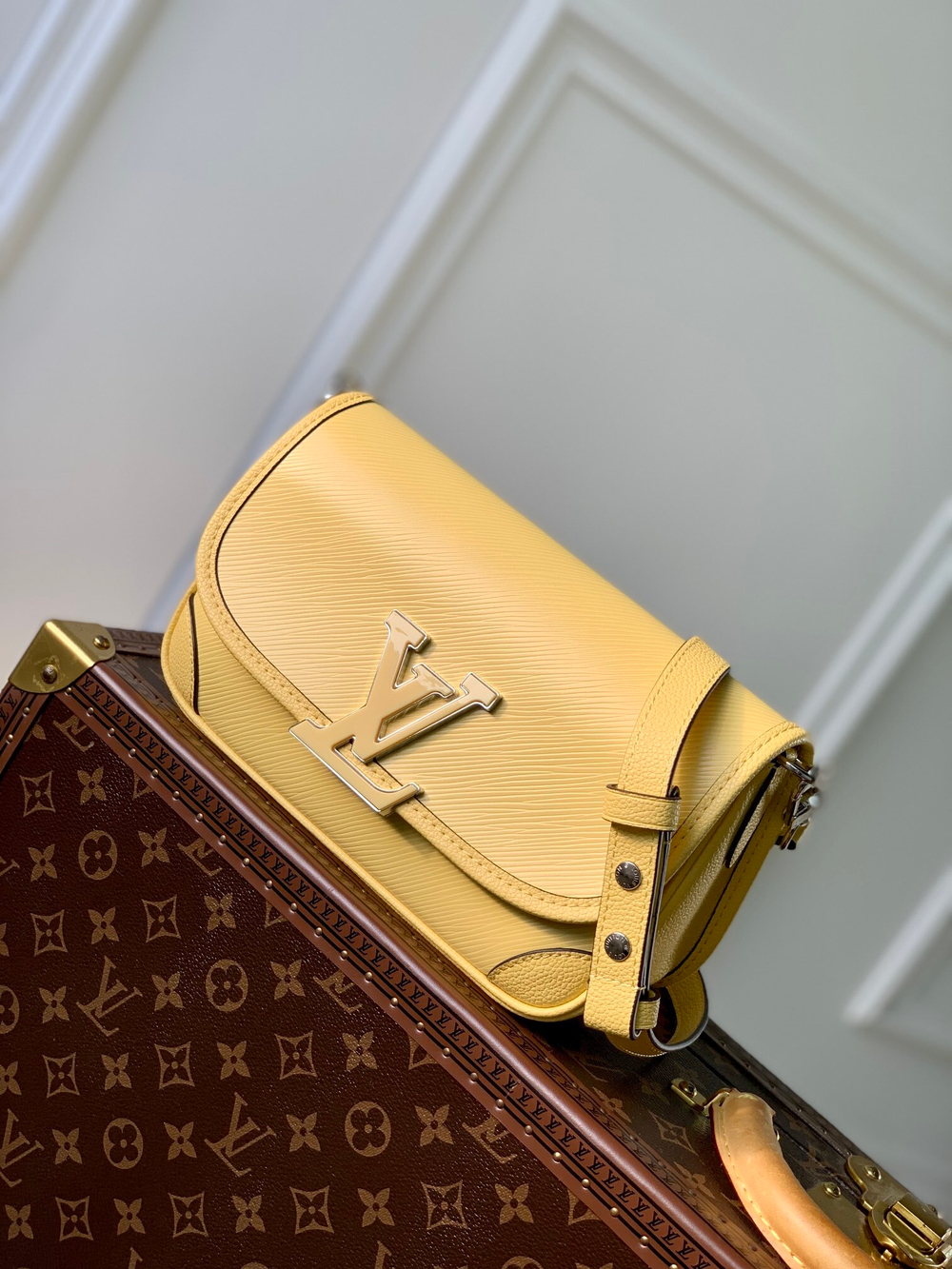 Louis Vuitton Buci Bag