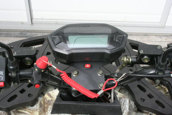 Квадроцикл GRIZZLY Aerox Mini 125cc