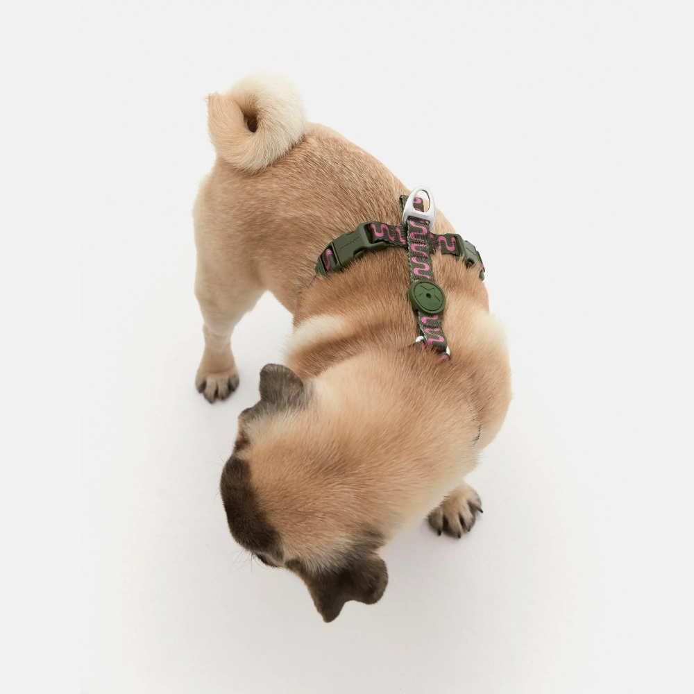 Анатомическая шлейка Jungle