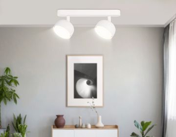 Накладной поворотный спот со сменной лампой 2*GX53 TN71011 белый Techno Spot Ambrella