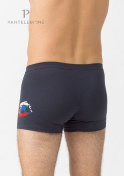 Трусы мужские боксеры Pantelemone PMH-1353, темно-серый