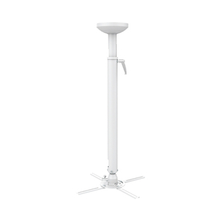 Миска для животных Triol Котенок