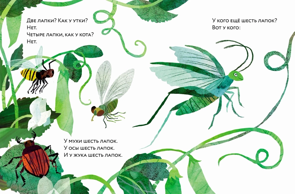 Ноги? Ноги... Ноги!