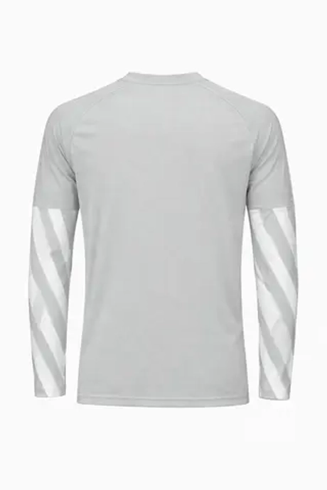 Вратарская кофта Nike Dri-FIT Park V GK Детская - серый