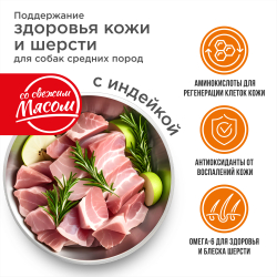 Корм сухой для взрослых собак средних пород, премиум полнорационный комплекс, здоровье кожи и шерсти, с индейкой, 12 кг, QUATTRO