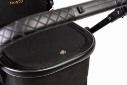 Детская коляска Peppy Tecla 2 в 1 Rose Black Черный