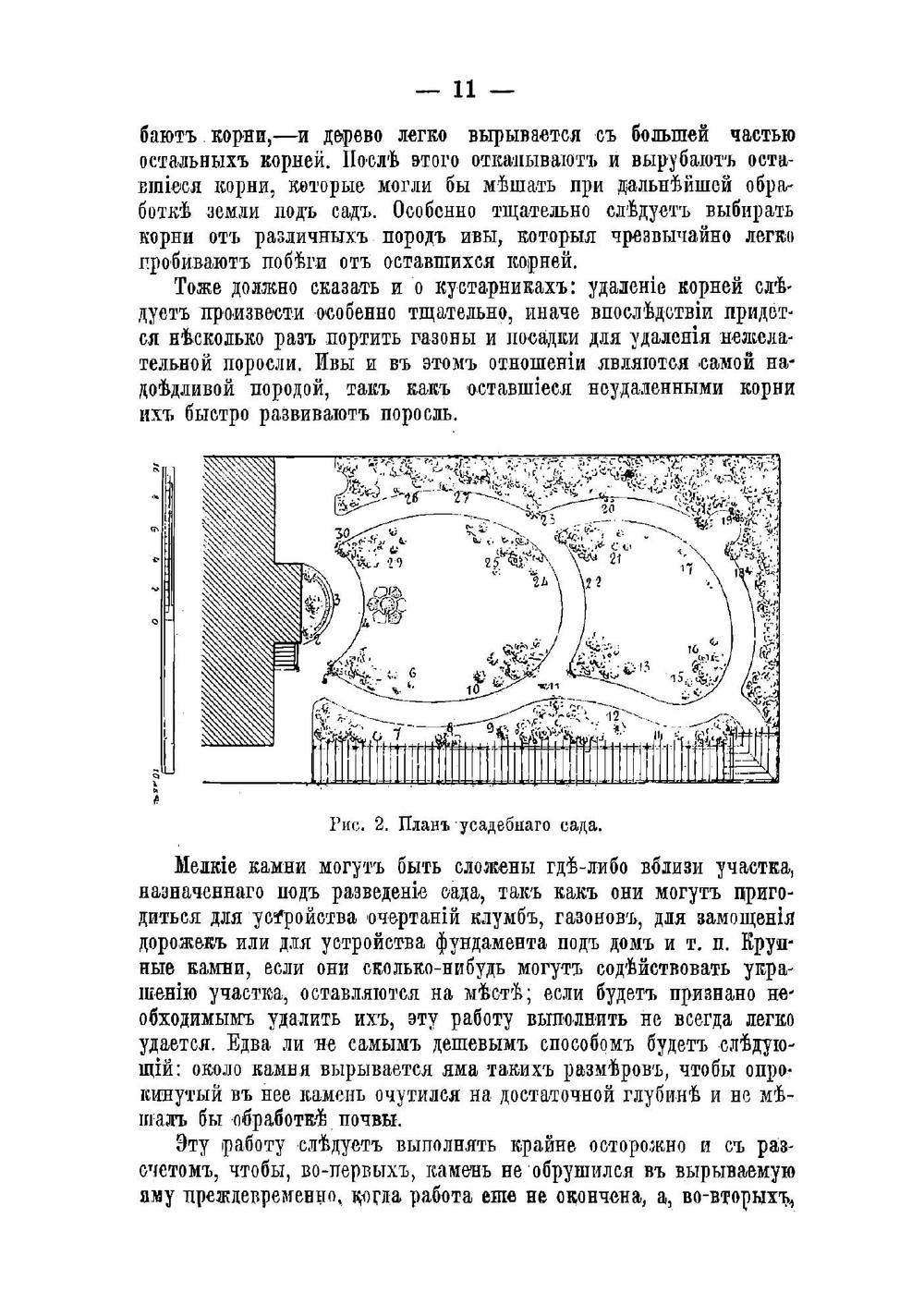 Декоративный, дачный и усадебный сад | Штейнберг Павел Николаевич