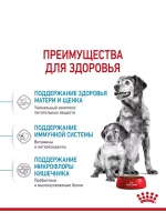 ROYAL CANIN MEDIUM STARTER MOTHER & BABYDOG(Роял Канин МЕДИУМ СТАРТЕР МАЗЕ ЭНД БЭБИДОГ) корм сухой для собак 20 кг.