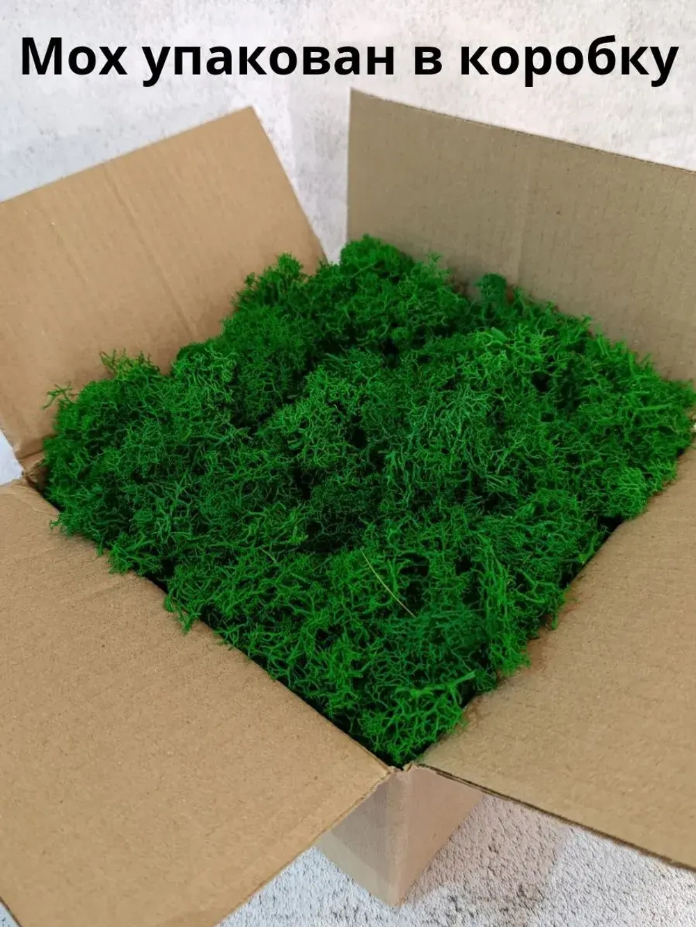 Мох стабилизированный обрезки для рукоделия