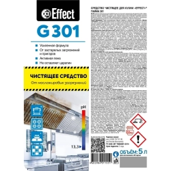 Чистящее средство для кухни удаление жира и нагара Effect Gamma 301 5 л (концентрат)