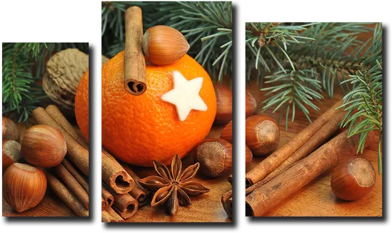 Модульная картина "Апельсин с корицей"