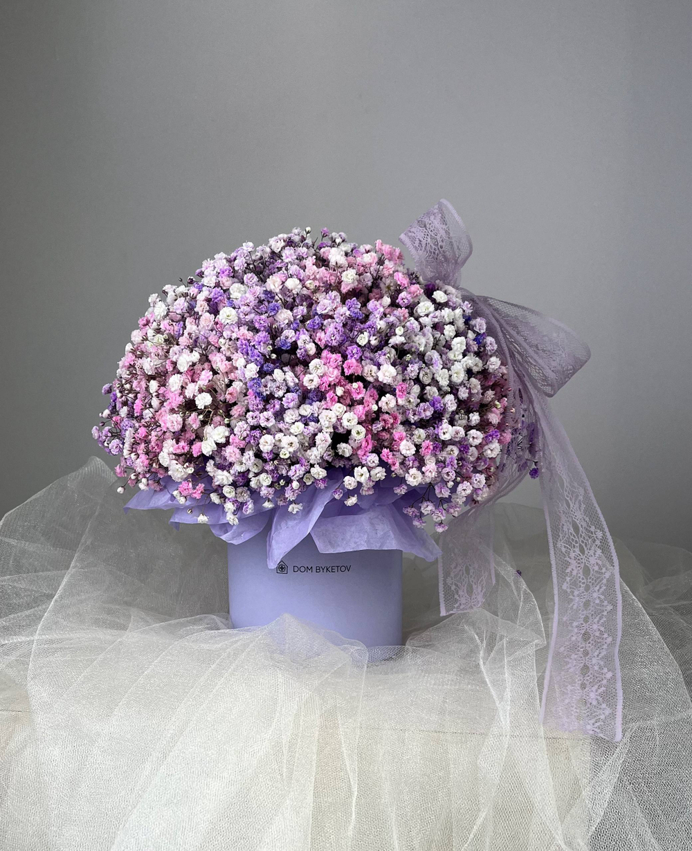 Купить гипсофилы Казань